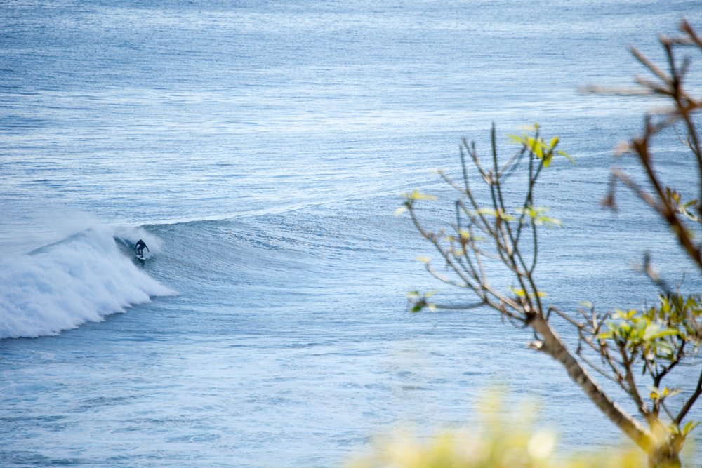 11.-Surfing-(1)