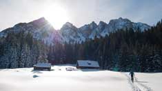LUEX Ski Touring
